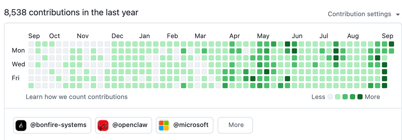 8,538 GitHub contributions in the last year